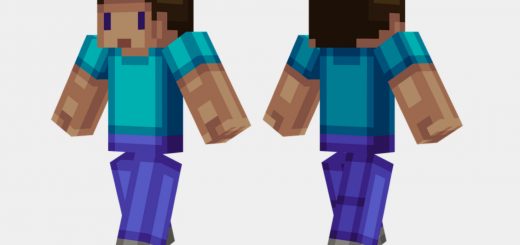 Steve Girl Minecraft Skins