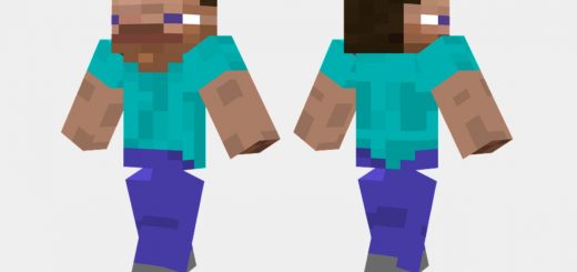 steve and herobrine Minecraft Skin