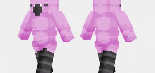 anime template  Minecraft Skins